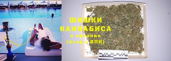 a pvp Алзамай
