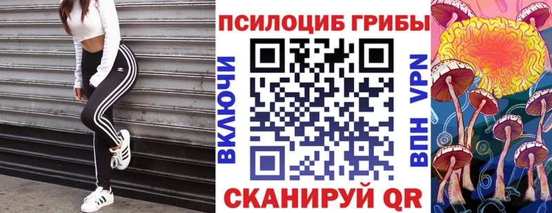 Псилоцибиновые грибы Psilocybine cubensis Лукоянов